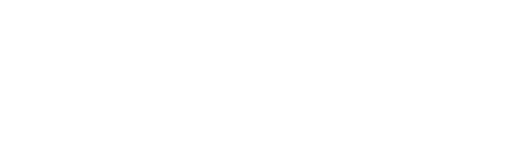 mckinsey.white_logo